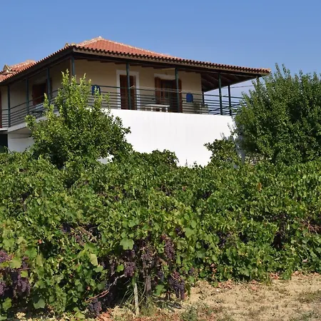 Alexandros Villa *